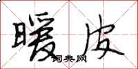 段相林暖皮行书怎么写