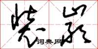 刘少英装严草书怎么写