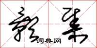 朱锡荣影集草书怎么写
