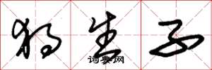 朱锡荣独生子草书怎么写