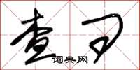 朱锡荣查问草书怎么写
