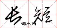 朱锡荣长短草书怎么写