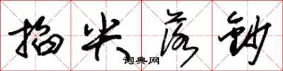 朱锡荣掐尖落钞草书怎么写