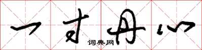 朱锡荣一寸丹心草书怎么写