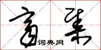 朱锡荣齐集草书怎么写