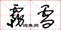 王冬龄雾雪草书怎么写