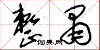 刘少英整肃草书怎么写