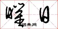 刘少英曜日草书怎么写