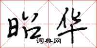 段相林昭华行书怎么写