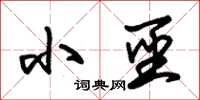 朱锡荣小圣草书怎么写