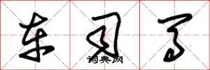 朱锡荣车司马草书怎么写