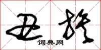 朱锡荣丑族草书怎么写