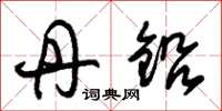 朱锡荣丹铅草书怎么写