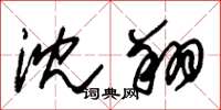 朱锡荣沈翔草书怎么写
