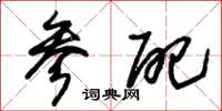 朱锡荣参配草书怎么写