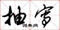 朱锡荣抽写草书怎么写