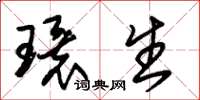 朱锡荣环生草书怎么写