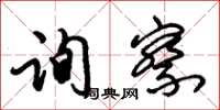 朱锡荣询察草书怎么写