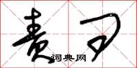 朱锡荣责问草书怎么写