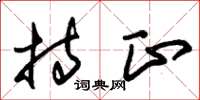 朱锡荣持正草书怎么写