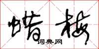 王冬龄蜡梅草书怎么写