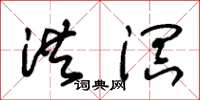朱锡荣洪溟草书怎么写