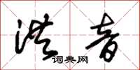 朱锡荣洪音草书怎么写