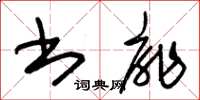 朱锡荣书扉草书怎么写