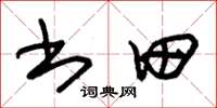 朱锡荣书田草书怎么写