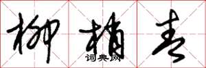 朱锡荣柳梢青草书怎么写