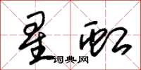 朱锡荣星虹草书怎么写