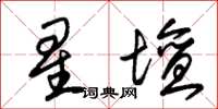 朱锡荣星坛草书怎么写