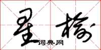 朱锡荣星榆草书怎么写