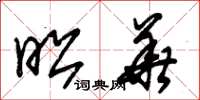 朱锡荣昭华草书怎么写