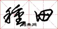 朱锡荣种田草书怎么写