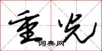 朱锡荣重光草书怎么写