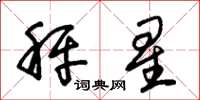 朱锡荣秤星草书怎么写