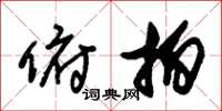 朱锡荣俯拍草书怎么写
