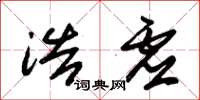 朱锡荣浩虚草书怎么写