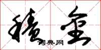 朱锡荣积金草书怎么写
