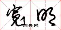 朱锡荣宽明草书怎么写