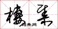 朱锡荣栖集草书怎么写