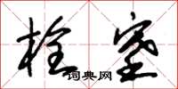 朱锡荣栓塞草书怎么写