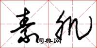 朱锡荣素肌草书怎么写