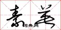 朱锡荣素英草书怎么写