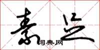 朱锡荣素足草书怎么写