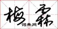 朱锡荣梅霖草书怎么写