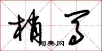 朱锡荣梢马草书怎么写