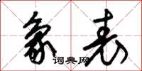 朱锡荣象表草书怎么写