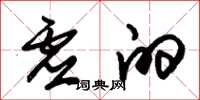 朱锡荣虚的草书怎么写